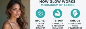 Glow Peptide: Benefits, Uses, Research & Complete Buying Guide How GLOW Peptide Therapy works